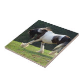 Gypsy Vanner Tegeltje (Zijkant)