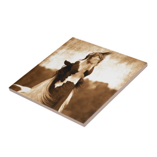 Gypsy Vanner Tegeltje (Zijkant)