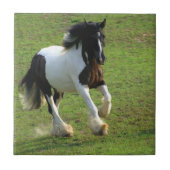 Gypsy Vanner Tegeltje (Voorkant)