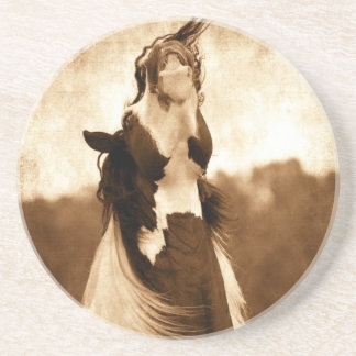 Gypsy Vanner Zandsteen Onderzetter