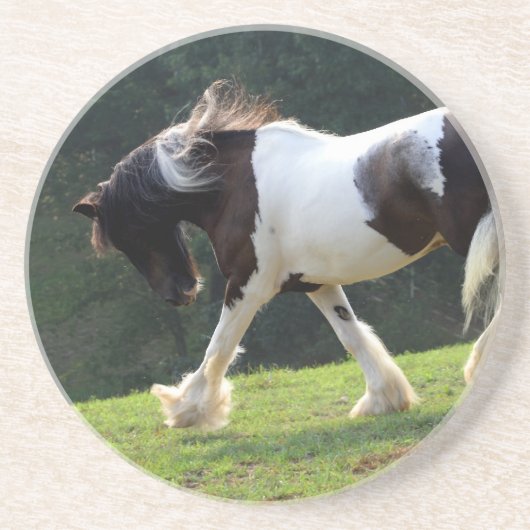 Gypsy Vanner Zandsteen Onderzetter (Voorkant)