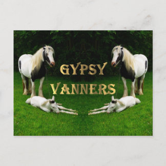 Gypsy Vanners Briefkaart