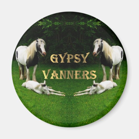 Gypsy Vanners Magnet (Voorkant)