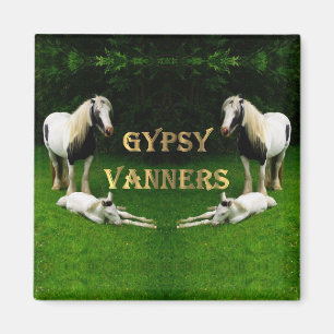 Gypsy Vanners Magnet