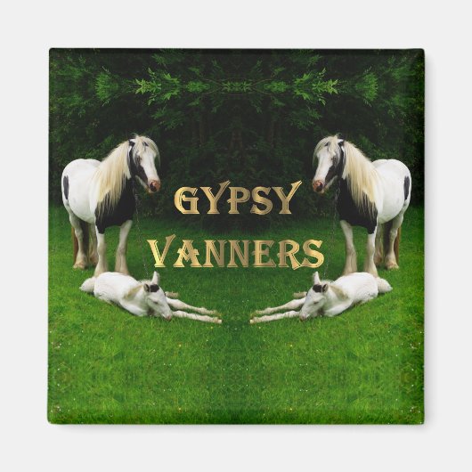 Gypsy Vanners Magnet (Voorkant)