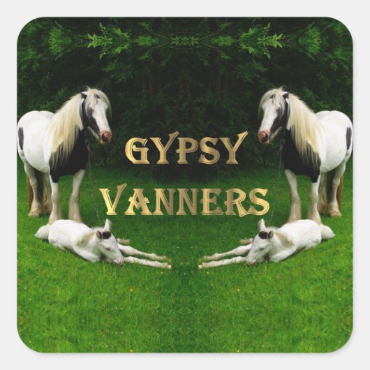Gypsy Vanners Square Sticker (Voorkant)