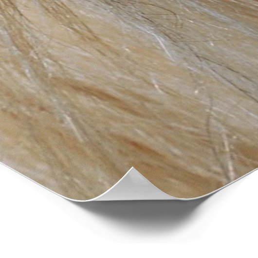 Gypsy Vision Poster/Print Poster (Hoek)