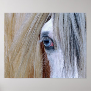 Gypsy Vision Poster/Print Poster