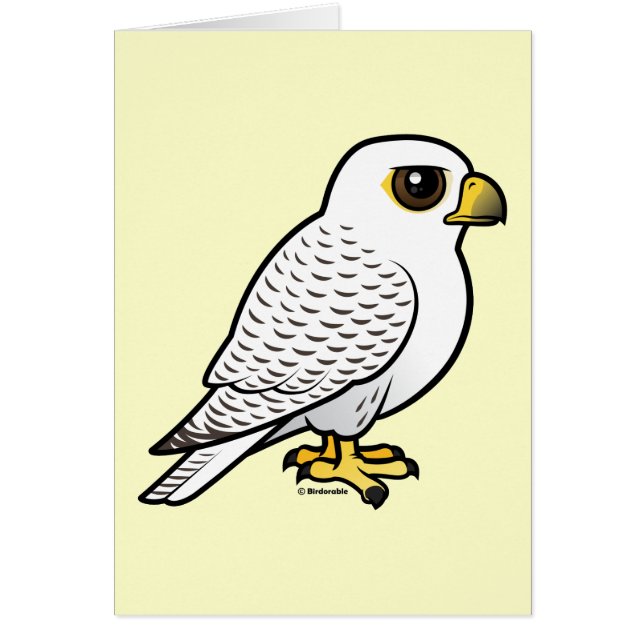 Gyrfalcon (Voorkant)