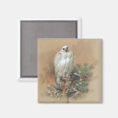 Gyrfalcon - 1861 magneet (Voorkant / Achterkant)