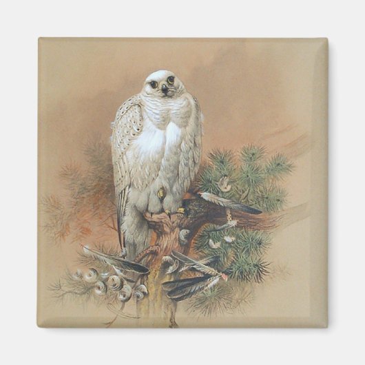Gyrfalcon - 1861 magneet (Voorkant)