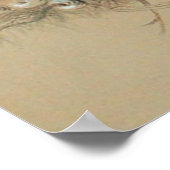 Gyrfalcon - 1861 poster (Hoek)