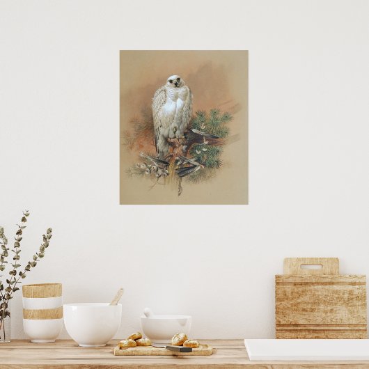 Gyrfalcon - 1861 poster (Keuken)
