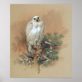 Gyrfalcon - 1861 poster (Voorkant)