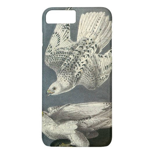 Gyrfalcon door Audubon Case-Mate iPhone Case (Achterkant)
