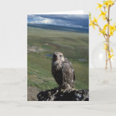 gyrfalcon, Falco rusticolus, jonge kinderen Kaart (Gele Bloem)
