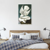 Gyrfalcon Fine Art van John Audubon Canvas Afdruk (Insitu (Slaapkamer))