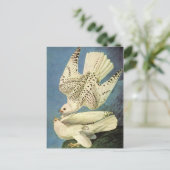 Gyrfalcon, John James Audubon Briefkaart (Staand voorkant)