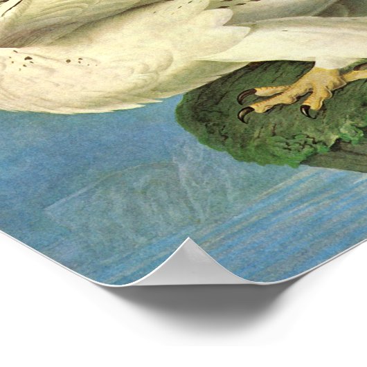 Gyrfalcon, John James Audubon Poster (Hoek)