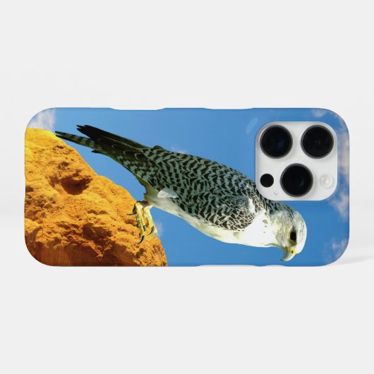 Gyrfalcon neergestreken op een rots telefoonhoes iPhone hoesje (Achterkant horizontaal)