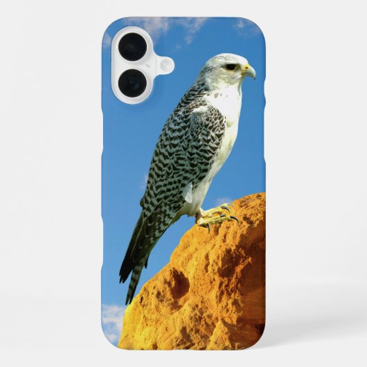 Gyrfalcon neergestreken op een rots telefoonhoes iPhone hoesje (Achterkant)