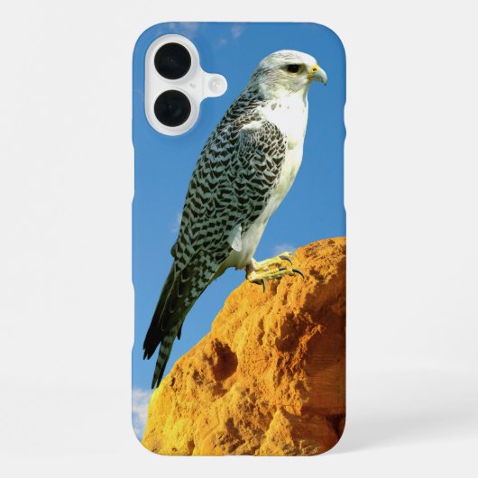 Gyrfalcon neergestreken op een rots telefoonhoes iPhone hoesje (Achterkant)