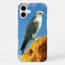Gyrfalcon neergestreken op een rots telefoonhoes