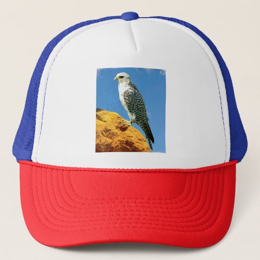 Gyrfalcon op een rots neergestreken trucker pet (Voorkant)