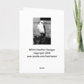 Gyrfalcon rustend op handler's handlet notecard kaart (Achterkant)