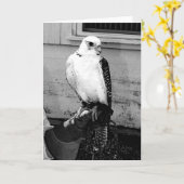 Gyrfalcon rustend op handler's handlet notecard kaart (Gele Bloem)
