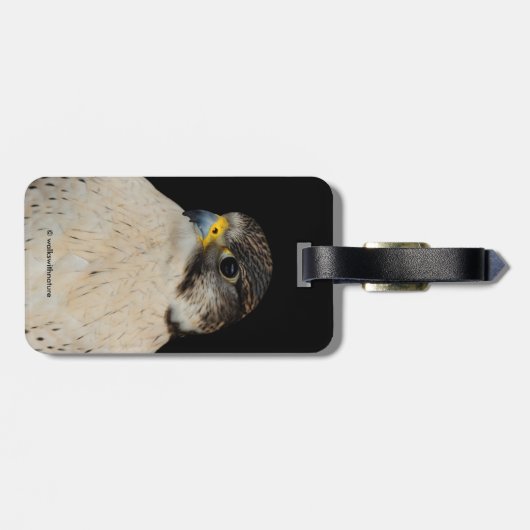 Gyrfalcon Saker Hybrid Falcon Bagagelabel (Achterkant horizontaal)