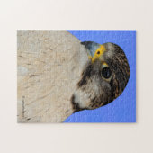 Gyrfalcon Saker Hybrid Falcon Legpuzzel (Horizontaal)
