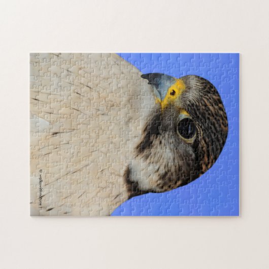 Gyrfalcon Saker Hybrid Falcon Legpuzzel (Horizontaal)