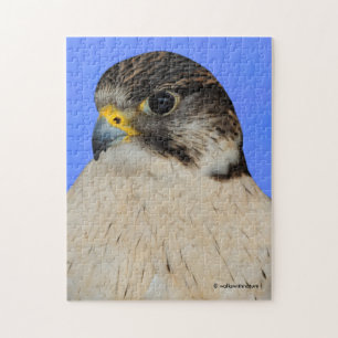 Gyrfalcon Saker Hybrid Falcon Legpuzzel