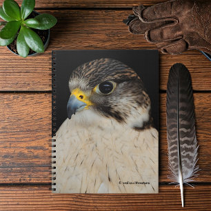Gyrfalcon Saker Hybrid Falcon Notitieboek