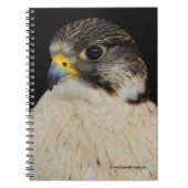 Gyrfalcon Saker Hybrid Falcon Notitieboek (Voorkant)
