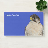 Gyrfalcon Saker Hybrid Falcon Post-it® Notes (Kantoor)