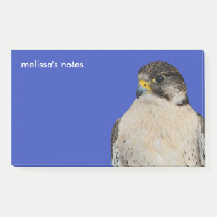 Gyrfalcon Saker Hybrid Falcon Post-it® Notes