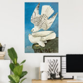 Gyrfalcons, ook bekend als Gerfalcons door John Ja Poster (Thuiskantoor)