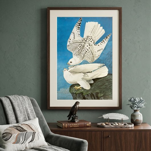 Gyrfalcons, ook bekend als Gerfalcons door John Ja Poster