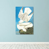 Gyrfalcons, ook bekend als Gerfalcons, van John Ja Canvas Afdruk (Insitu (Houten vloer))