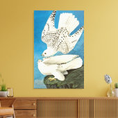 Gyrfalcons, ook bekend als Gerfalcons, van John Ja Canvas Afdruk (Insitu (Woonkamer))