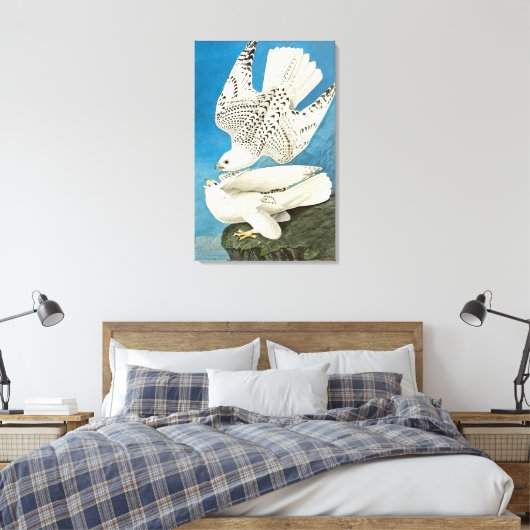 Gyrfalcons, ook bekend als Gerfalcons, van John Ja Canvas Afdruk (Insitu (Slaapkamer))