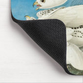 Gyrfalcons, ook bekend als Gerfalcons, van John Ja Muismat (Hoek)