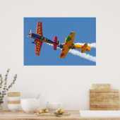 Gyroscopische Aerobatica Poster (Keuken)