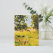 Gysinge Summer Field  Briefkaart (Staand voorkant)