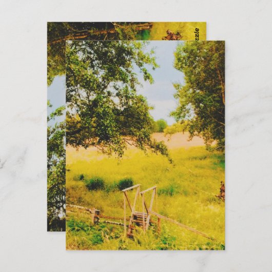 Gysinge Summer Field  Briefkaart (Voorkant / Achterkant)