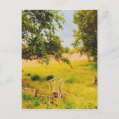 Gysinge Summer Field  Briefkaart (Voorkant)