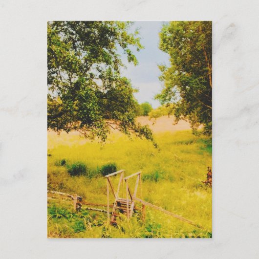 Gysinge Summer Field  Briefkaart (Voorkant)