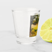Gysinge Zomerterrein Shot Glas (Links)